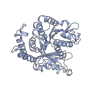 40220_8glv_H4_v1-2
96-nm repeat unit of doublet microtubules from Chlamydomonas reinhardtii flagella
