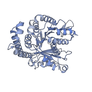 40220_8glv_H5_v1-2
96-nm repeat unit of doublet microtubules from Chlamydomonas reinhardtii flagella