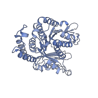 40220_8glv_H6_v1-2
96-nm repeat unit of doublet microtubules from Chlamydomonas reinhardtii flagella