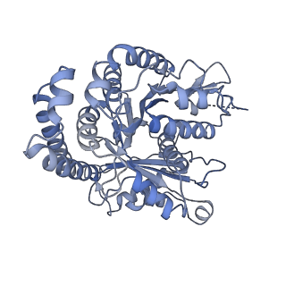 40220_8glv_H7_v1-2
96-nm repeat unit of doublet microtubules from Chlamydomonas reinhardtii flagella