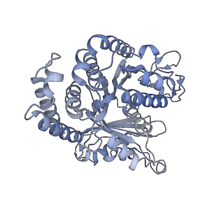 40220_8glv_H8_v1-2
96-nm repeat unit of doublet microtubules from Chlamydomonas reinhardtii flagella