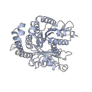 40220_8glv_H9_v1-2
96-nm repeat unit of doublet microtubules from Chlamydomonas reinhardtii flagella