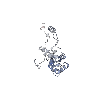40220_8glv_HA_v1-2
96-nm repeat unit of doublet microtubules from Chlamydomonas reinhardtii flagella