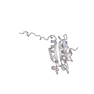 40220_8glv_HB_v1-2
96-nm repeat unit of doublet microtubules from Chlamydomonas reinhardtii flagella