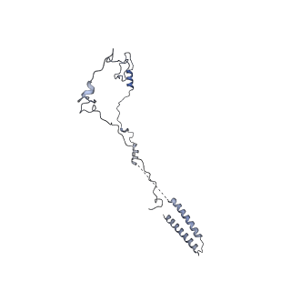 40220_8glv_HD_v1-2
96-nm repeat unit of doublet microtubules from Chlamydomonas reinhardtii flagella