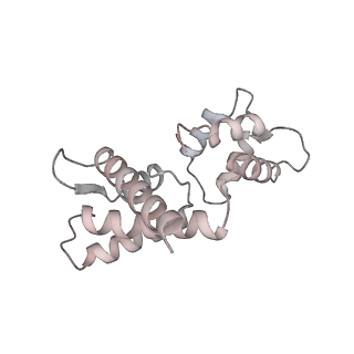 40220_8glv_HF_v1-2
96-nm repeat unit of doublet microtubules from Chlamydomonas reinhardtii flagella