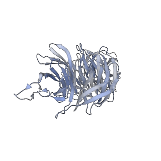 40220_8glv_HG_v1-2
96-nm repeat unit of doublet microtubules from Chlamydomonas reinhardtii flagella