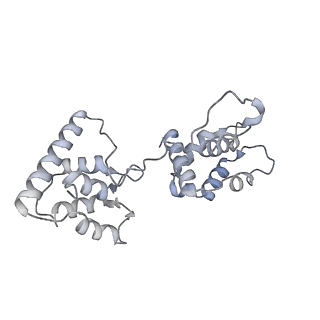 40220_8glv_HI_v1-2
96-nm repeat unit of doublet microtubules from Chlamydomonas reinhardtii flagella