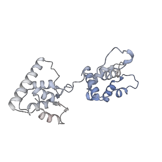 40220_8glv_HJ_v1-2
96-nm repeat unit of doublet microtubules from Chlamydomonas reinhardtii flagella