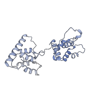 40220_8glv_HK_v1-2
96-nm repeat unit of doublet microtubules from Chlamydomonas reinhardtii flagella