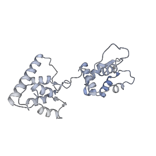 40220_8glv_HL_v1-2
96-nm repeat unit of doublet microtubules from Chlamydomonas reinhardtii flagella