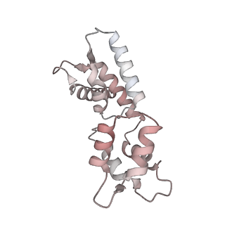 40220_8glv_HM_v1-2
96-nm repeat unit of doublet microtubules from Chlamydomonas reinhardtii flagella