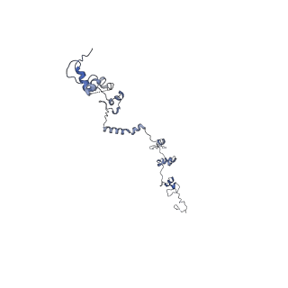 40220_8glv_HN_v1-2
96-nm repeat unit of doublet microtubules from Chlamydomonas reinhardtii flagella