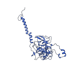 40220_8glv_HO_v1-2
96-nm repeat unit of doublet microtubules from Chlamydomonas reinhardtii flagella