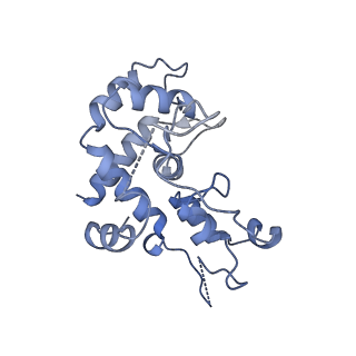 40220_8glv_HP_v1-2
96-nm repeat unit of doublet microtubules from Chlamydomonas reinhardtii flagella