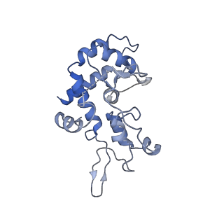 40220_8glv_HQ_v1-2
96-nm repeat unit of doublet microtubules from Chlamydomonas reinhardtii flagella