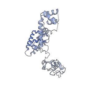 40220_8glv_HT_v1-2
96-nm repeat unit of doublet microtubules from Chlamydomonas reinhardtii flagella