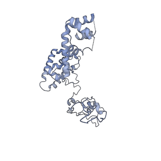 40220_8glv_HU_v1-2
96-nm repeat unit of doublet microtubules from Chlamydomonas reinhardtii flagella