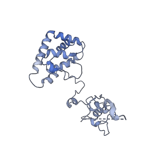 40220_8glv_HW_v1-2
96-nm repeat unit of doublet microtubules from Chlamydomonas reinhardtii flagella