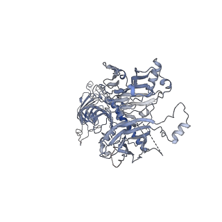 40220_8glv_HX_v1-2
96-nm repeat unit of doublet microtubules from Chlamydomonas reinhardtii flagella