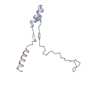 40220_8glv_HY_v1-2
96-nm repeat unit of doublet microtubules from Chlamydomonas reinhardtii flagella