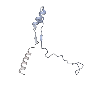 40220_8glv_HZ_v1-2
96-nm repeat unit of doublet microtubules from Chlamydomonas reinhardtii flagella