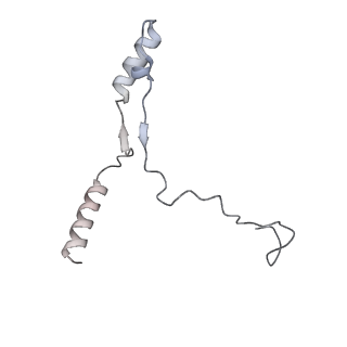 40220_8glv_Ha_v1-2
96-nm repeat unit of doublet microtubules from Chlamydomonas reinhardtii flagella