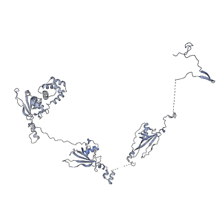 40220_8glv_Hb_v1-2
96-nm repeat unit of doublet microtubules from Chlamydomonas reinhardtii flagella