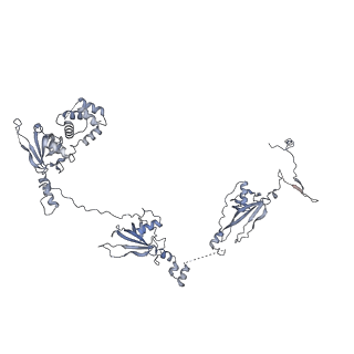 40220_8glv_Hc_v1-2
96-nm repeat unit of doublet microtubules from Chlamydomonas reinhardtii flagella