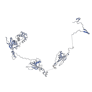 40220_8glv_Hd_v1-2
96-nm repeat unit of doublet microtubules from Chlamydomonas reinhardtii flagella