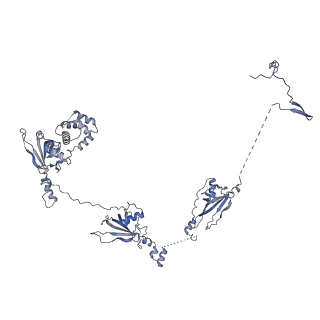 40220_8glv_Hf_v1-2
96-nm repeat unit of doublet microtubules from Chlamydomonas reinhardtii flagella