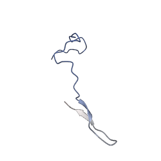 40220_8glv_Hg_v1-2
96-nm repeat unit of doublet microtubules from Chlamydomonas reinhardtii flagella