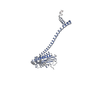 40220_8glv_Hi_v1-2
96-nm repeat unit of doublet microtubules from Chlamydomonas reinhardtii flagella