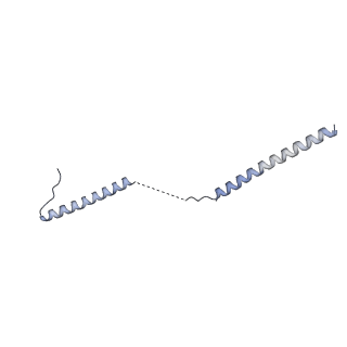 40220_8glv_Hj_v1-2
96-nm repeat unit of doublet microtubules from Chlamydomonas reinhardtii flagella