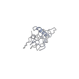 40220_8glv_Hk_v1-2
96-nm repeat unit of doublet microtubules from Chlamydomonas reinhardtii flagella