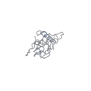 40220_8glv_Hl_v1-2
96-nm repeat unit of doublet microtubules from Chlamydomonas reinhardtii flagella