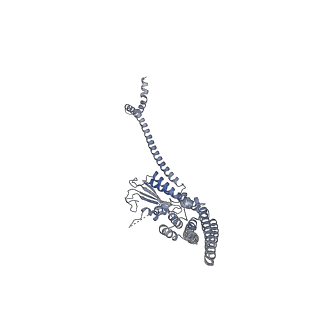 40220_8glv_Hm_v1-2
96-nm repeat unit of doublet microtubules from Chlamydomonas reinhardtii flagella