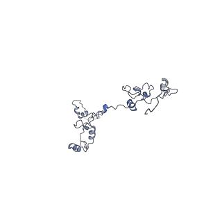 40220_8glv_Hp_v1-2
96-nm repeat unit of doublet microtubules from Chlamydomonas reinhardtii flagella