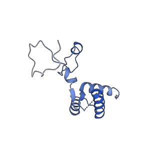 40220_8glv_Hr_v1-2
96-nm repeat unit of doublet microtubules from Chlamydomonas reinhardtii flagella