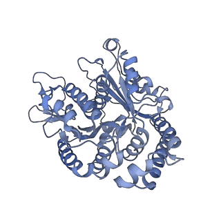 40220_8glv_Hu_v1-2
96-nm repeat unit of doublet microtubules from Chlamydomonas reinhardtii flagella