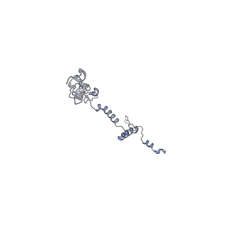 40220_8glv_Hv_v1-2
96-nm repeat unit of doublet microtubules from Chlamydomonas reinhardtii flagella