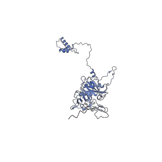 40220_8glv_Hx_v1-2
96-nm repeat unit of doublet microtubules from Chlamydomonas reinhardtii flagella