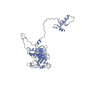 40220_8glv_Hy_v1-2
96-nm repeat unit of doublet microtubules from Chlamydomonas reinhardtii flagella