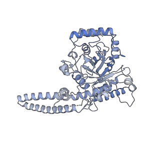 40220_8glv_Hz_v1-2
96-nm repeat unit of doublet microtubules from Chlamydomonas reinhardtii flagella