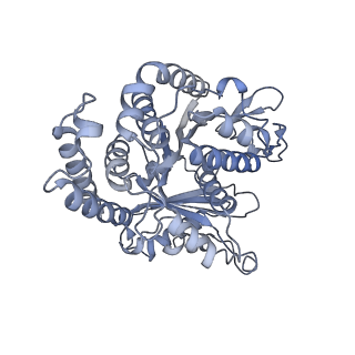 40220_8glv_I0_v1-2
96-nm repeat unit of doublet microtubules from Chlamydomonas reinhardtii flagella