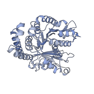 40220_8glv_I1_v1-2
96-nm repeat unit of doublet microtubules from Chlamydomonas reinhardtii flagella