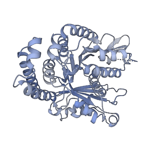 40220_8glv_I3_v1-2
96-nm repeat unit of doublet microtubules from Chlamydomonas reinhardtii flagella
