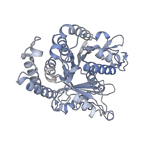 40220_8glv_I4_v1-2
96-nm repeat unit of doublet microtubules from Chlamydomonas reinhardtii flagella