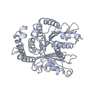 40220_8glv_I5_v1-2
96-nm repeat unit of doublet microtubules from Chlamydomonas reinhardtii flagella