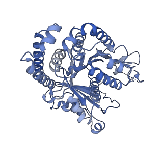 40220_8glv_I7_v1-2
96-nm repeat unit of doublet microtubules from Chlamydomonas reinhardtii flagella